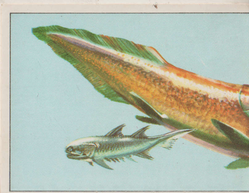 PANINI PREHISTORIC ANIMALS #72