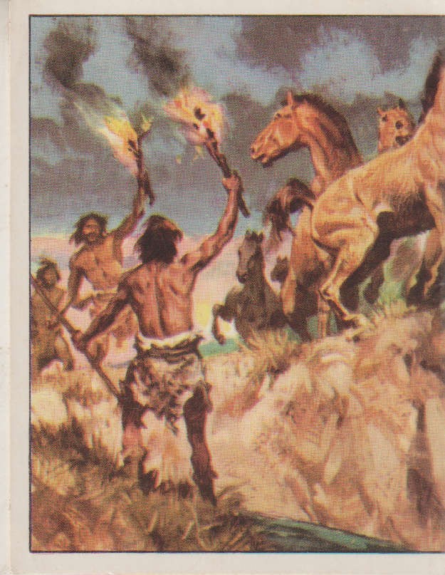 PANINI PREHISTORIC ANIMALS #231