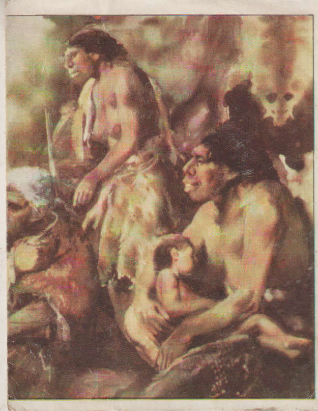 PANINI PREHISTORIC ANIMALS #306