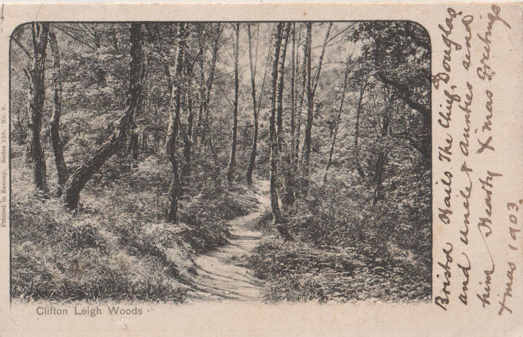 USED POST CARD 1903