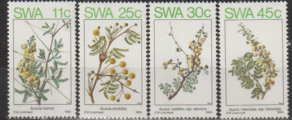 SWA 1984 Acacias in Spring UMM