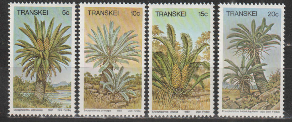 TRANSKEI 1980 Palm Ferns UMM