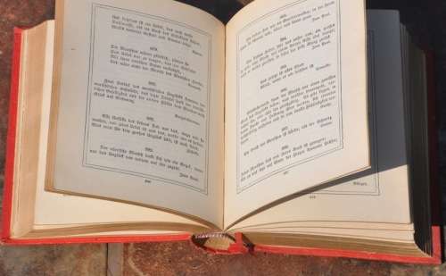 VINTAGE BIBLIOGRAPHICAL COLLECTIBLE IN GERMAN (1887) - IN TOP CONDITION