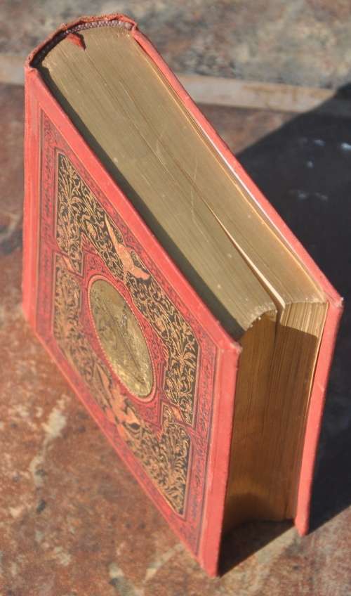 VINTAGE BIBLIOGRAPHICAL COLLECTIBLE IN GERMAN (1887) - IN TOP CONDITION