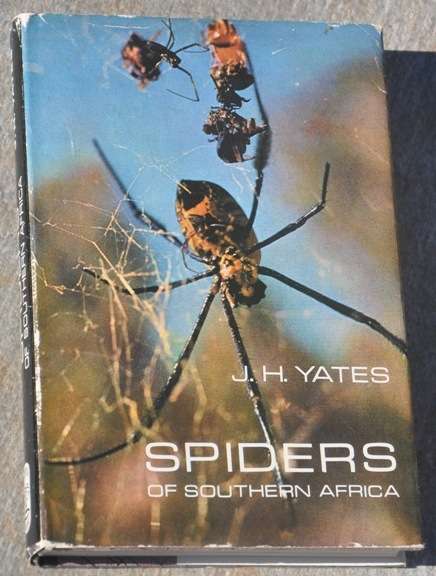 SPIDERS OF SOUTHERN AFRICA