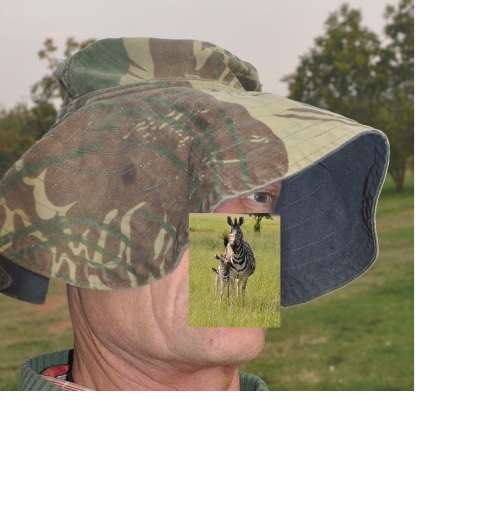 Original RHODESIAN BUSH HAT - rare military Rhodesiana