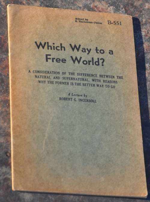 R1 No Reserve Auction! - WHICH WAY TO A FREE WORLD? - demanding militaria collectible