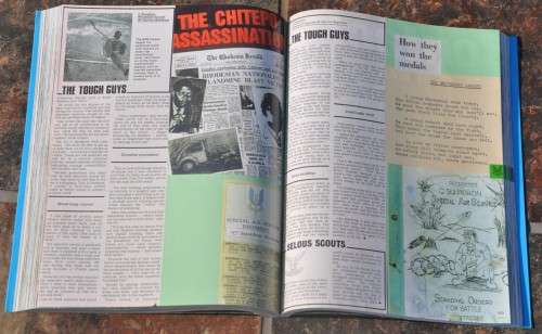 SPECIAL AIR SERVICE RHODESIA - brilliant Africana/Militaria collectible in top condition