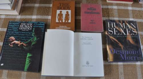 NICE JOB LOT OF COLLECTIBLE NON-FICTION BOOKS ON BODY & HUMAN SEXES - view photo / read text