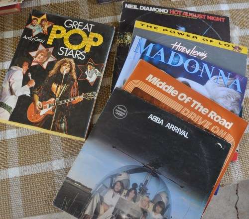 NICE JOB LOT OF 5 VINYL LPs AND A BOOK ON POPSTARS - view photos / read text