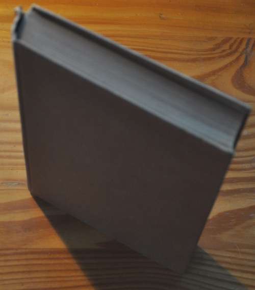 YOUNG HITLER - very rare 1st edition in English, written by his youth friend - WHAT A COLLECTIBLE!!!