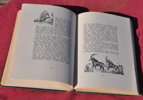 MEMORIES OF A GAME-RANGER by Harry Wolhuter - COLLECTIBLE AFRICANA