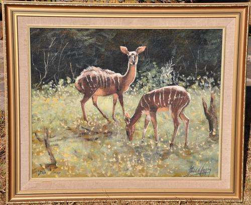 DENZIL N. HERRING  Original oil painting on board, Njala female 95cm x 80cm, framed  PICK UP ONLY