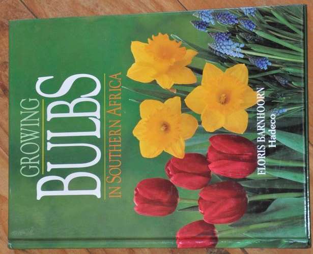 GROWING BULBS IN SOUTHERN AFRICA