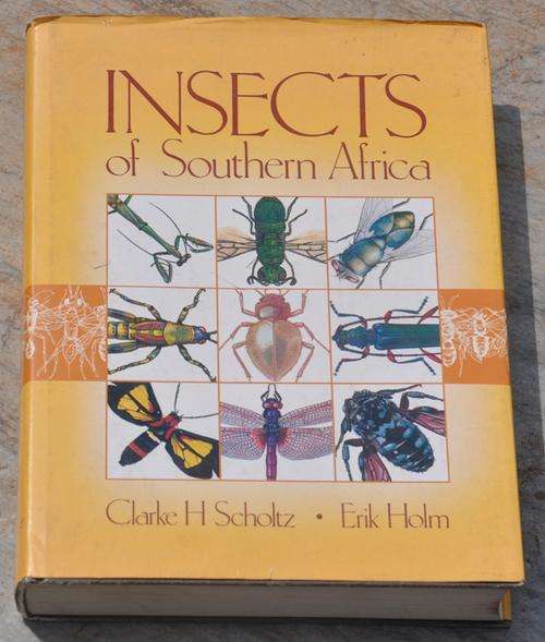 INSECTS OF SOUTHERN AFRICA by Scholtz & Holm - BRILLIANT COLLECTIBLE