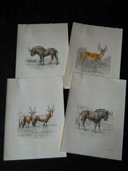 Four Original Dick Findlay Mixed Media Artworks (Unframed)