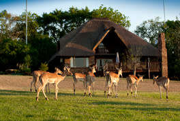Kruger Park Lodge Midweek 3 - 7 September ( 4 nights ) 8 sleeper