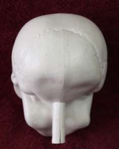 Collectable - Plastic Skull
