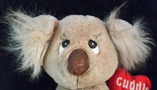 Plush Toy - Koala +/- 18cm - Dakin.