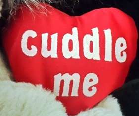 Plush Toy - Koala +/- 18cm - Dakin.