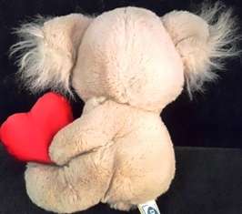 Plush Toy - Koala +/- 18cm - Dakin.