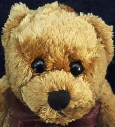 Plush Toy -Bunny(23 cm) + Bear +/- (20 cm)