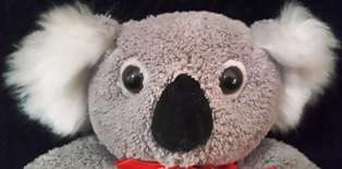Plush Toy - Koala Bear +/- 19 cm