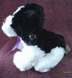 Plush Toy - Black & White Dog Teddy +-19cm