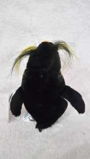 Plush Toy - penguin +/- 20 cm