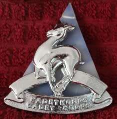 South African Cadet Badge - 5 x 6 cm