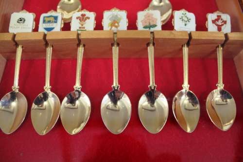 1995 Rugby world cup Spoons in a glass case - 26 x 43 x 5 cm