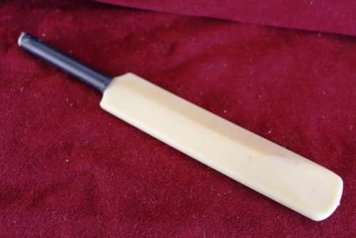 Mini Cricket Bat / Signed By Players / 22cm