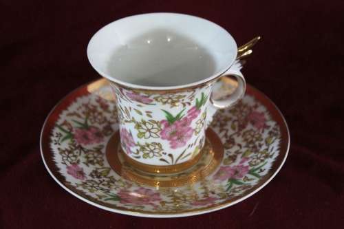 Set Of Windcera Fine Porcelian / From Japan /  Coffee Cups & Saucers (Never Been Used Still in box)