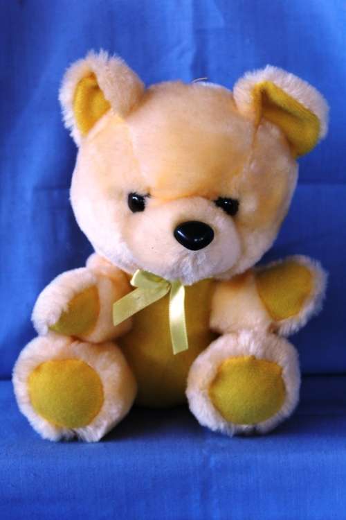 Yellow Teddy - 20 cm