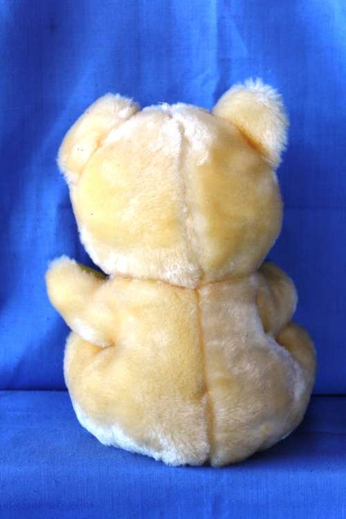 Yellow Teddy - 20 cm