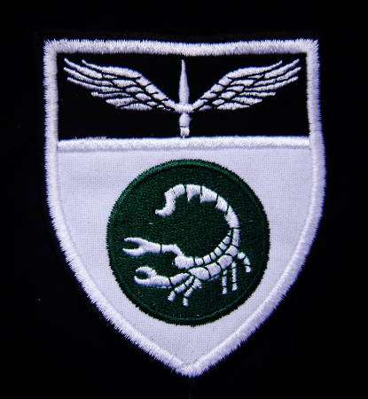 ' 2 RECCE ' - Blazer Badge (Material)