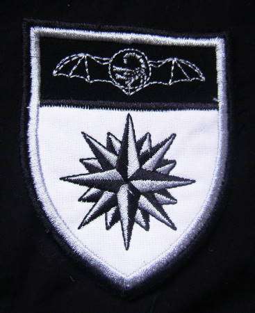 2 RECCE Regiment Badge Material - Authentic