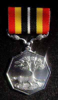 Southern Africa Medal - Numbered 002906