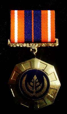 Pro Patria Full Size Medal Link Suspender - NUMBERED: 41512