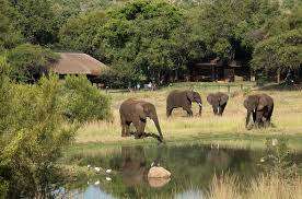 Bakubang 2Bed 4/6 Sleeper 9th - 13 March Pilanesberg Nathional Park