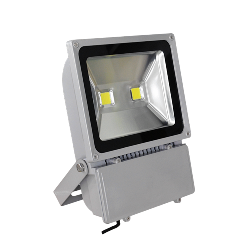 100w LED Floodlight (220V)