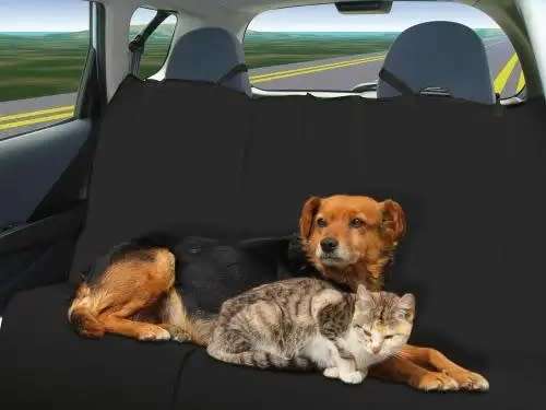 pet dog seat cover