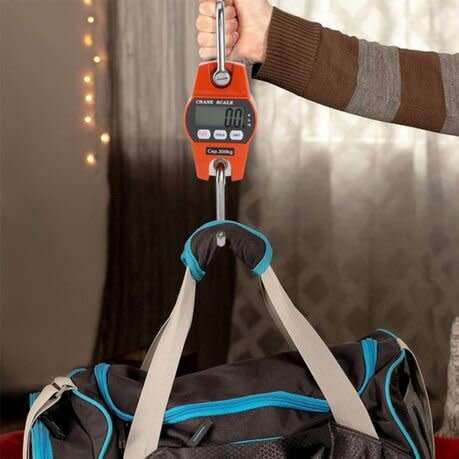 300Kg digital Crane Scale