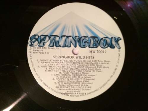 Springbok Wild Hits 1980 (Vinyl LP) [Rare]
