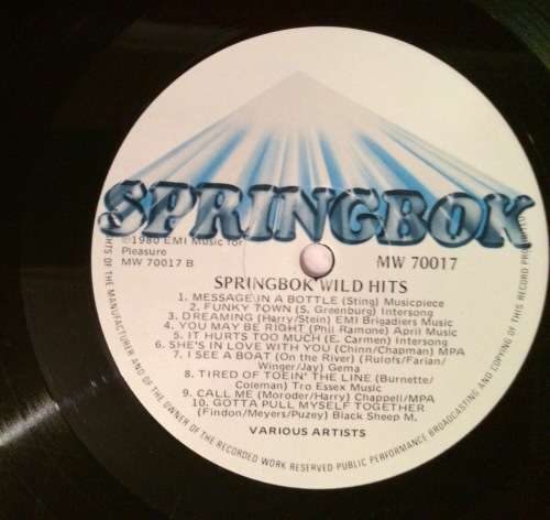 Springbok Wild Hits 1980 (Vinyl LP) [Rare]
