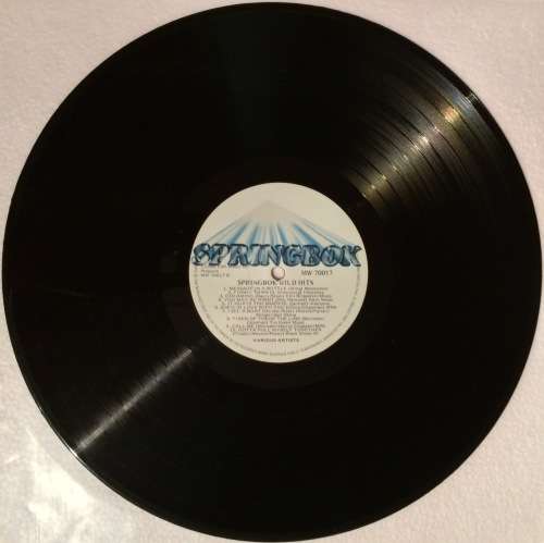 Springbok Wild Hits 1980 (Vinyl LP) [Rare]