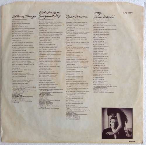 Steve Winwood - Back In The High Life (Vinyl LP) (Cover VG, LP VG+)