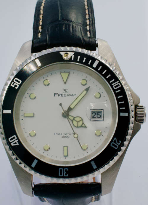 Freeway Stainless steel watch (Quartz)