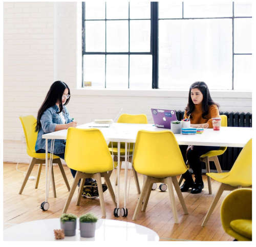 Dining Chair Upholstered Side Chair with Beech Wood Legs and Soft Padded Shell - Yellow Only !!!!!!!