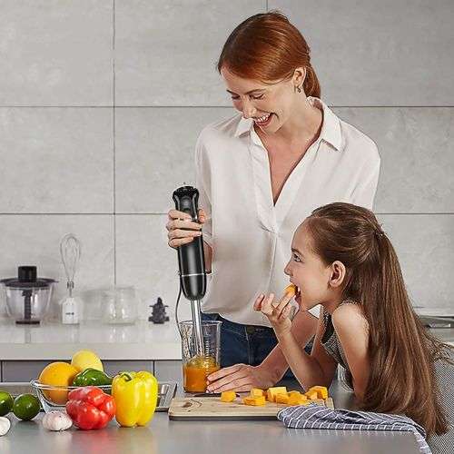 600W Multi-Purpose Portable Stick Hand Blender